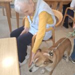 Starejša ženska sedi na stolu in boža psičko.