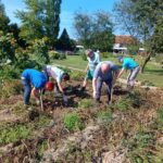 Skupina ljudi na vrtu obdeluje zemljo. Nekateri so nagnjeni in kopljejo z orodjem, medtem ko drugi pobirajo pridelke. V ozadju so visoke sončnice, drevesa in travnata površina.