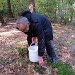 Moški v gozdu, sklonjen proti tlom, pobira kostanj in drži vedro v drugi roki. Oblečen je v temno jakno, okolje pa je obdano z zelenim listjem in suhim listjem na tleh.