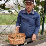 Fotografija starejšega moškega v modri jakni in kapi, ki drži košaro kivijev v rokah. Stoji ob leseni ograji, v ozadju so vidne rastline in parkirišče z avtomobili.